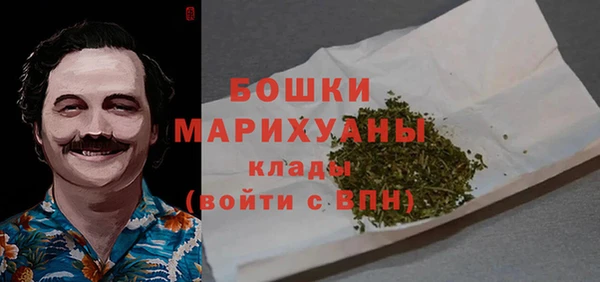 шишки Балабаново