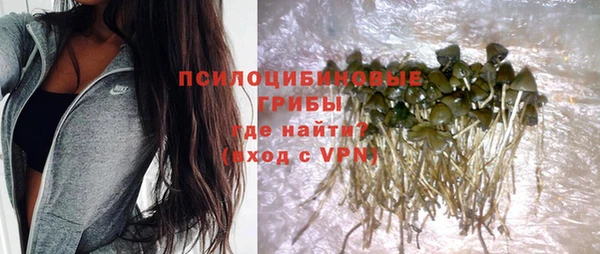 стафф Балахна