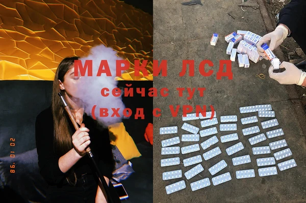 мяу мяу мука Баксан