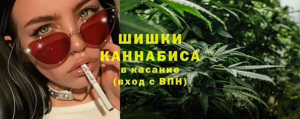 шишки Балабаново