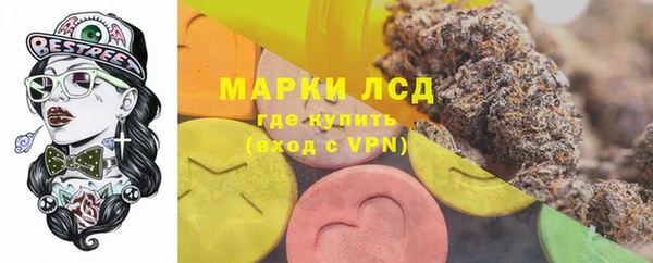 шишки Балабаново