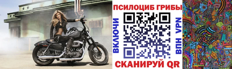 Купить закладки  Гаврилов Посад  Псилоцибиновые грибы Psilocybe 